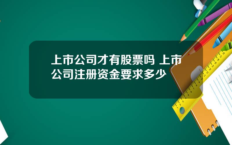 上市公司才有股票吗 上市公司注册资金要求多少